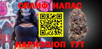 спиды Обь
