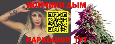 СК Новодвинск
