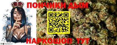 СК Новодвинск