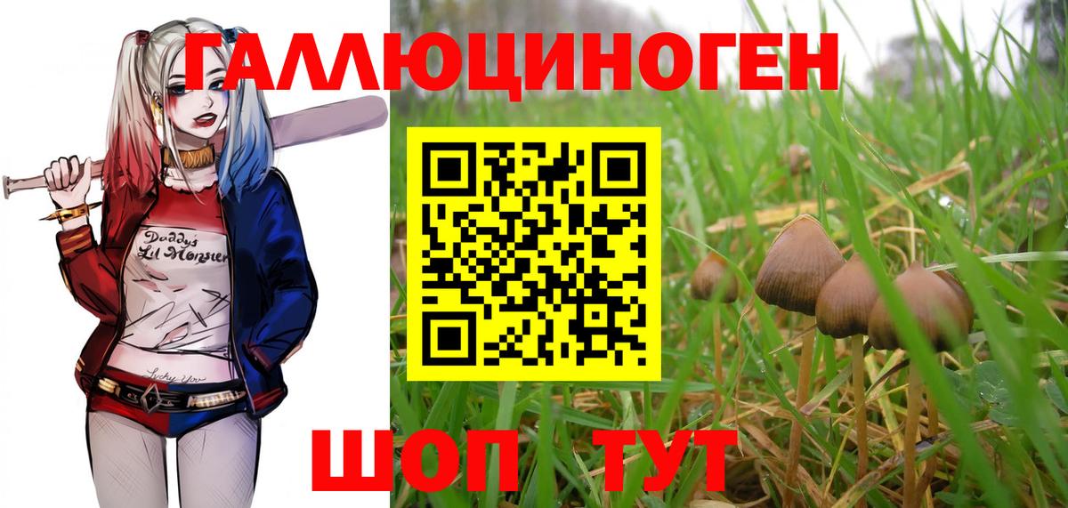 Галлюциногенные грибы Cubensis  Вход с VPN  Псилоцибиновые грибы GOLDEN TEACHER  Сунжа 