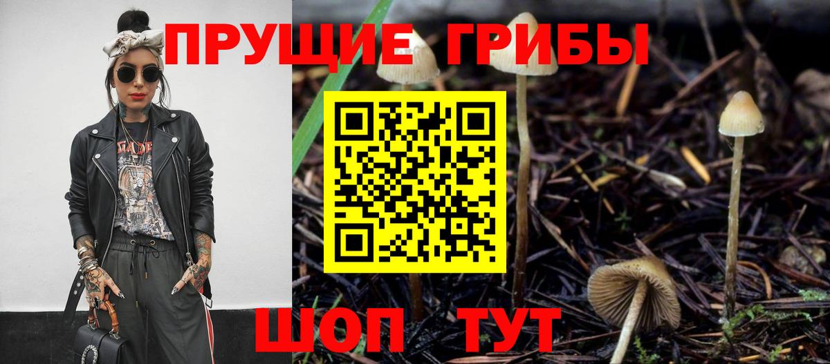Галлюциногенные грибы Psilocybine cubensis Сунжа
