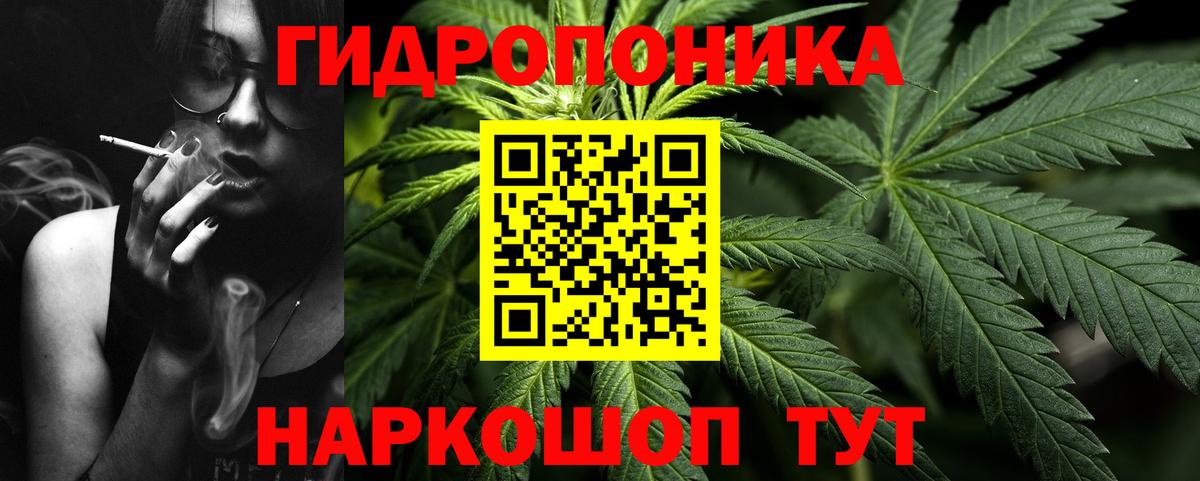 Шишки марихуана семена Сунжа